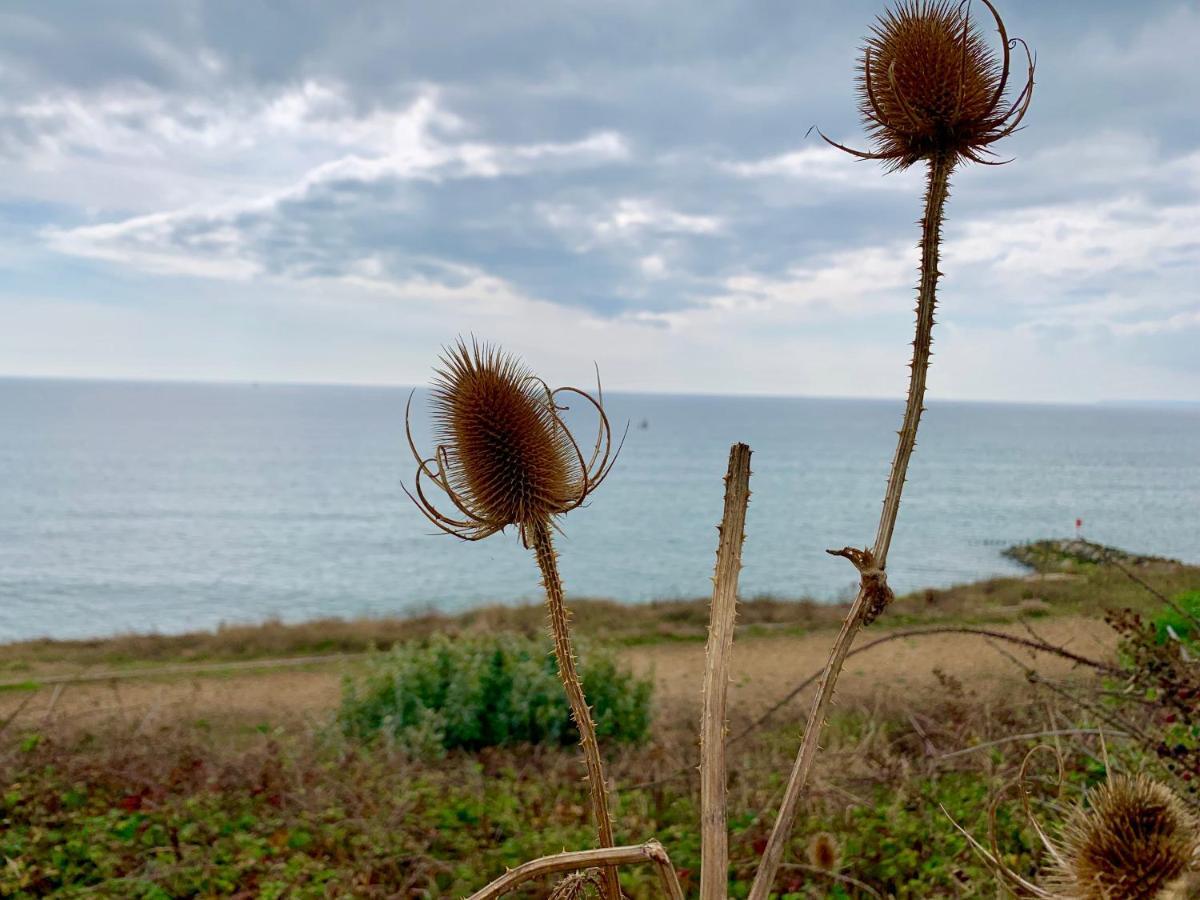Shorefield Country Park, Where The New Forest Meets The Sea, Passes For All Entertainment Included Milford-on-Sea Exteriér fotografie