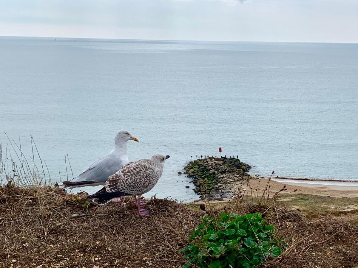 Shorefield Country Park, Where The New Forest Meets The Sea, Passes For All Entertainment Included Milford-on-Sea Exteriér fotografie