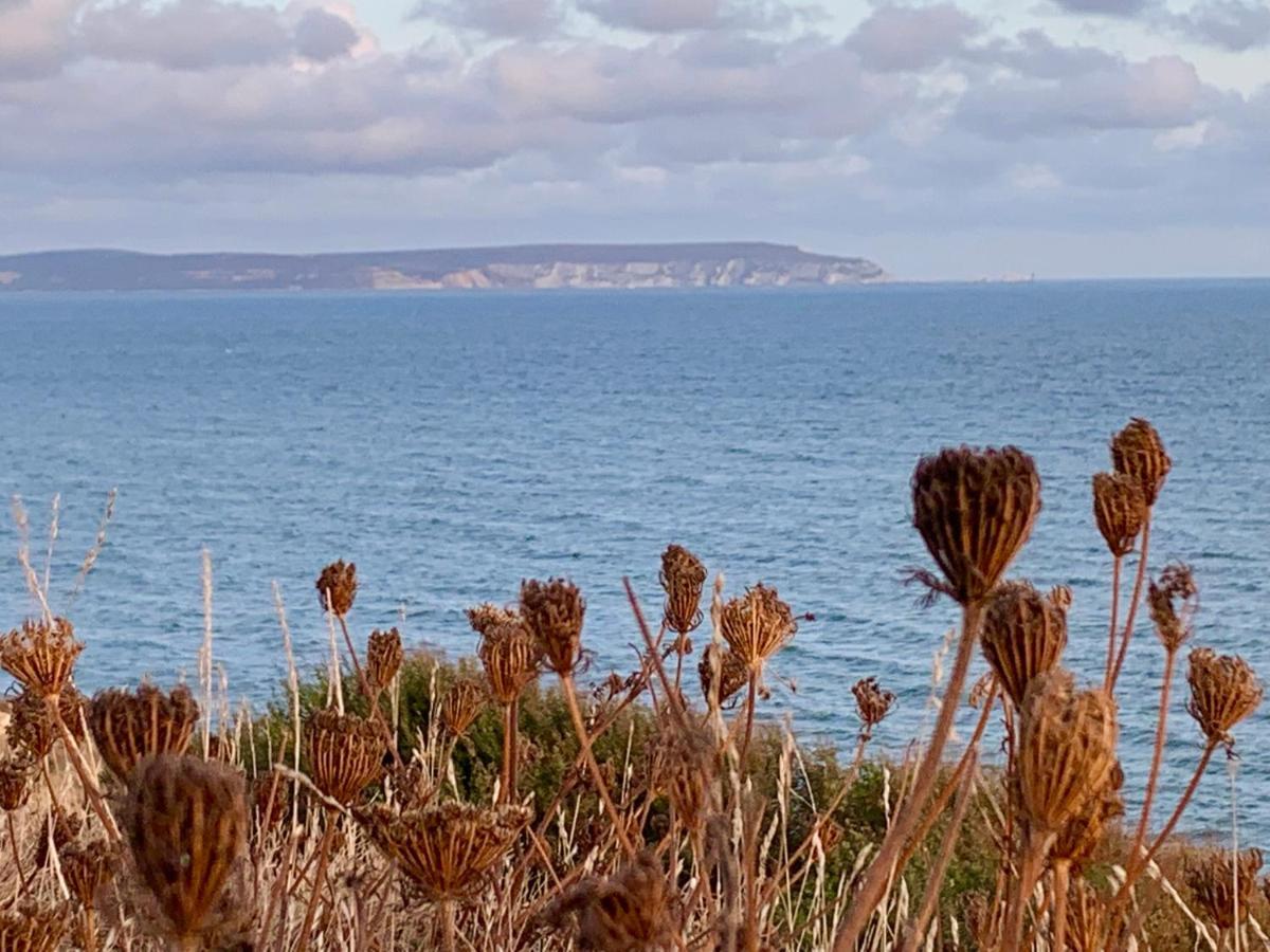 Shorefield Country Park, Where The New Forest Meets The Sea, Passes For All Entertainment Included Milford-on-Sea Exteriér fotografie