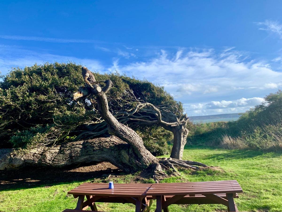Shorefield Country Park, Where The New Forest Meets The Sea, Passes For All Entertainment Included Milford-on-Sea Exteriér fotografie